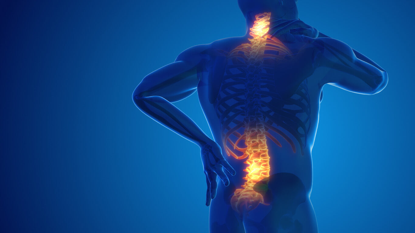Back & Neck Pain